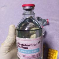 Acquista Nembutal, Cocaina e Anfetamina online (WhatsApp: +447386364678)
